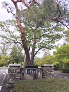 e0178307_14115026.jpg
