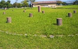 b0273309_12382336.jpg