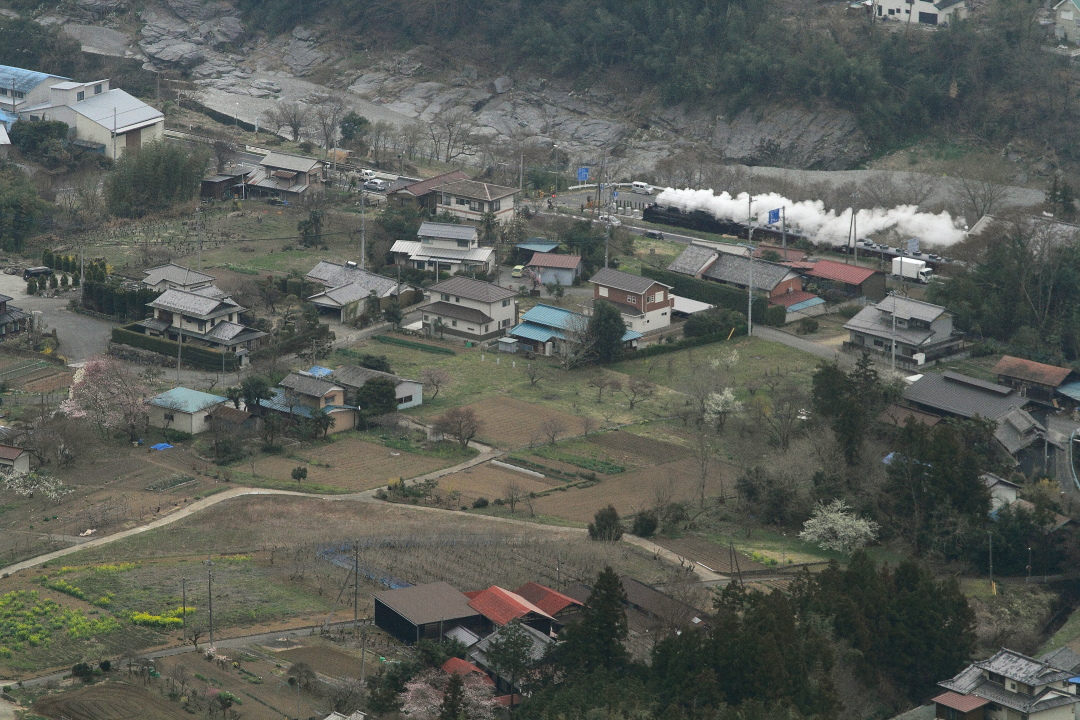 b0190710_71583.jpg