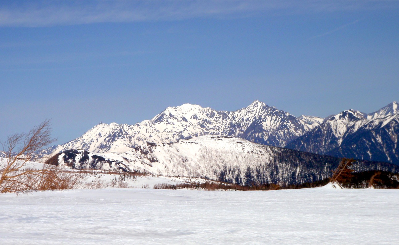 c0078410_45952100.jpg