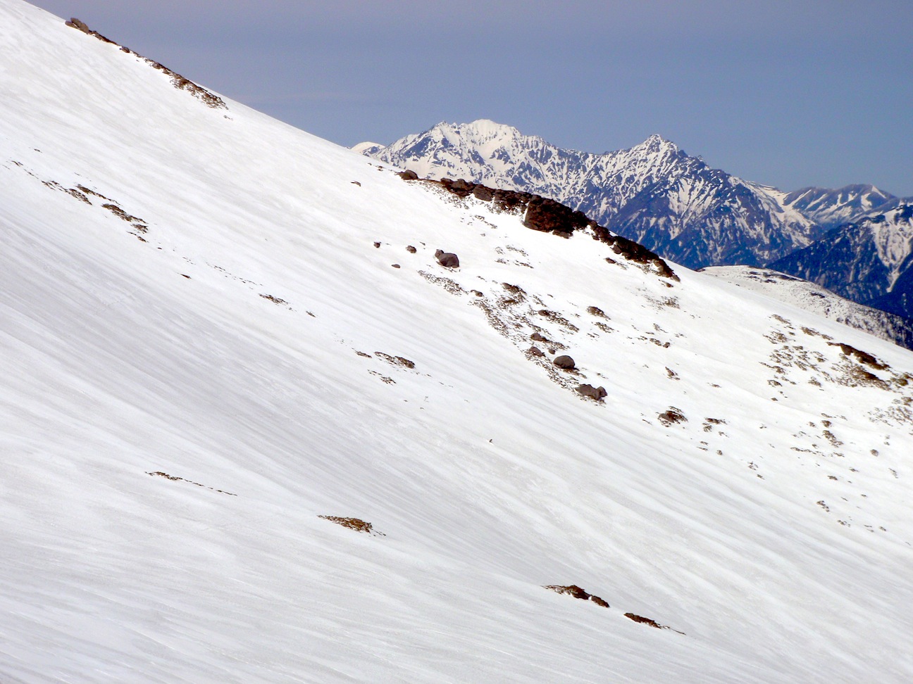 c0078410_511021.jpg
