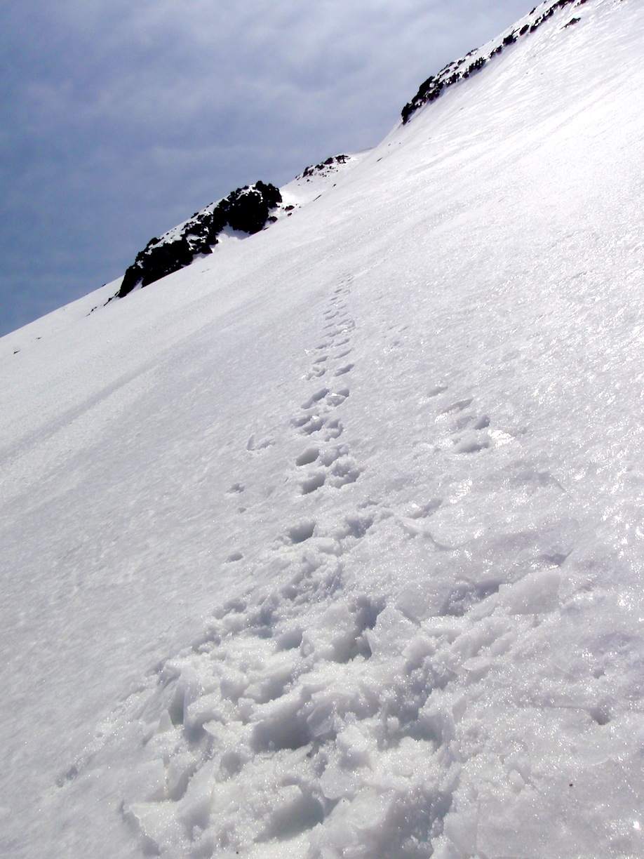 c0078410_584185.jpg