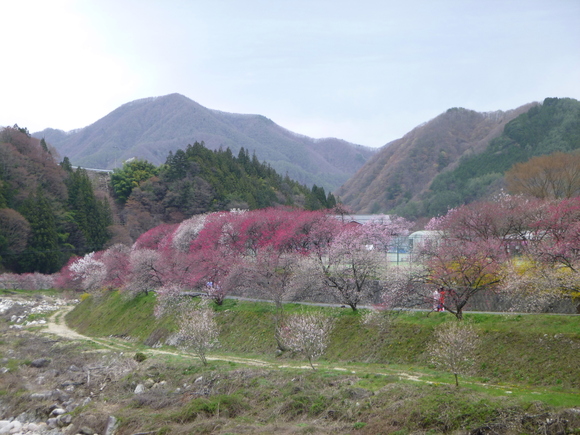 d0170615_1416115.jpg