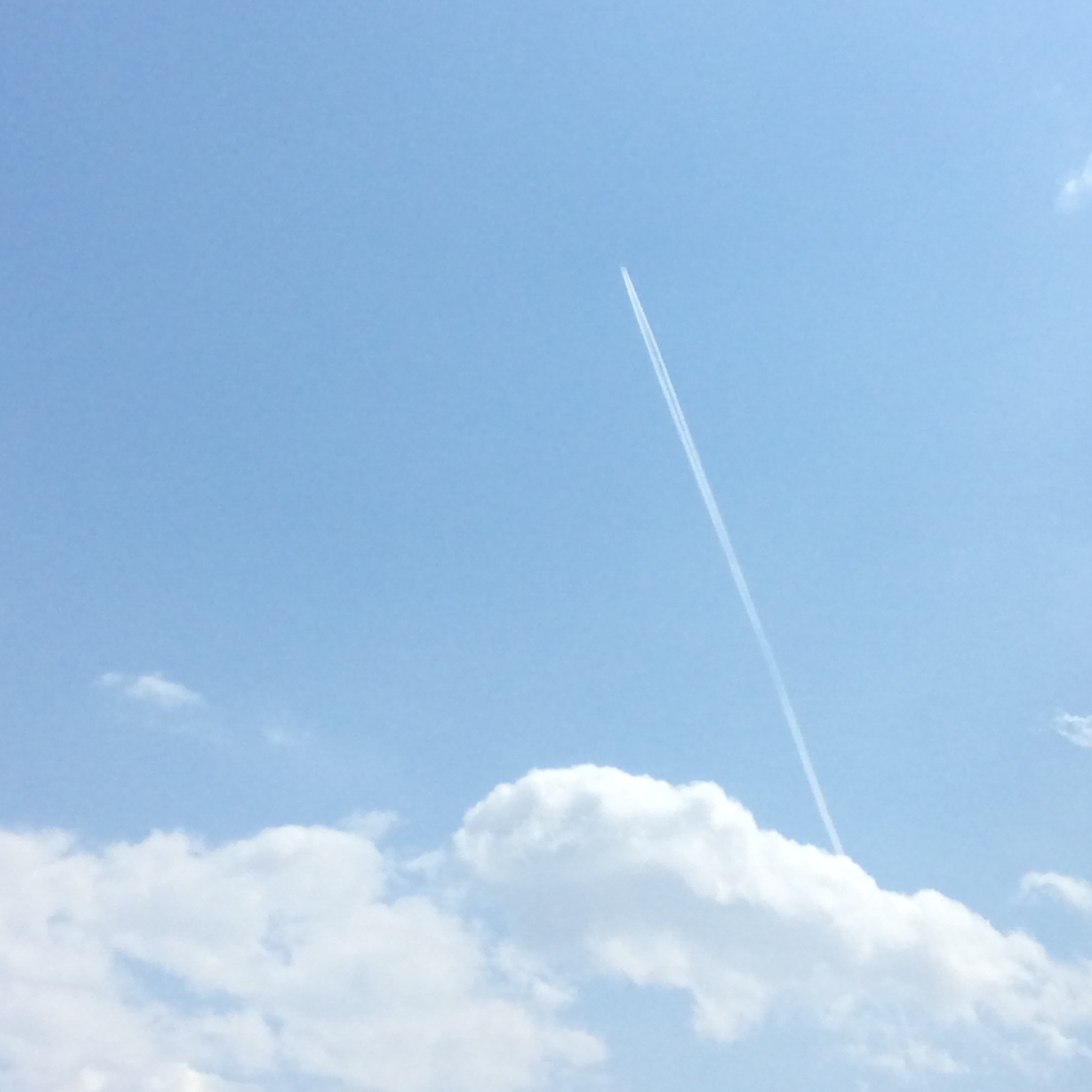 e0052716_1451618.jpg