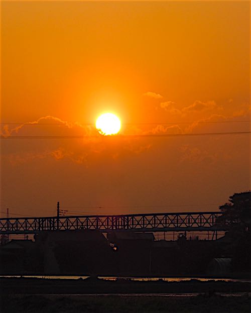 f0036716_2346443.jpg