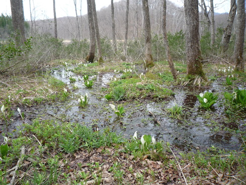c0189218_1555314.jpg