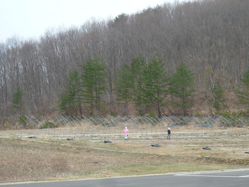 c0189218_15564353.jpg