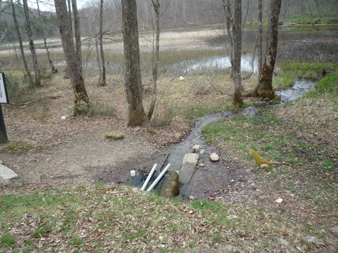 c0189218_15565591.jpg
