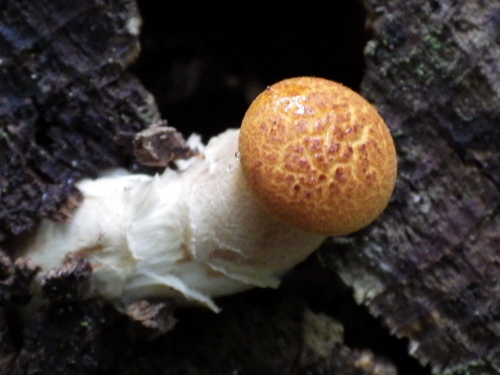 e0352220_18115965.jpg