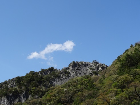 f0000521_07293796.jpg