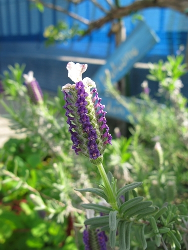 f0129726_23083688.jpg