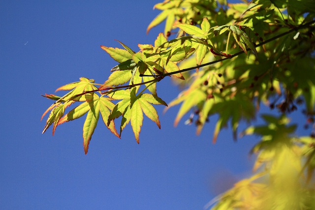 a0242438_1953912.jpg