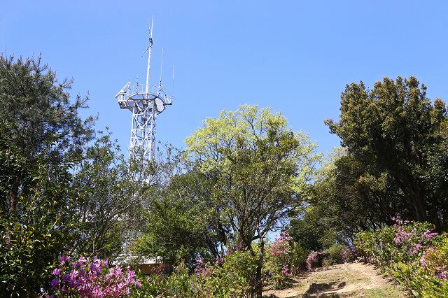 a0242438_19543867.jpg