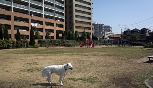 a0117039_2203810.jpg