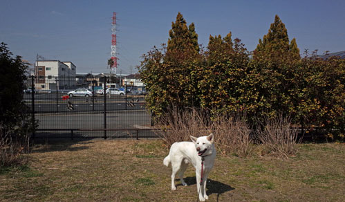 a0117039_220533.jpg