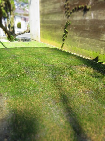b0341140_1611598.jpg