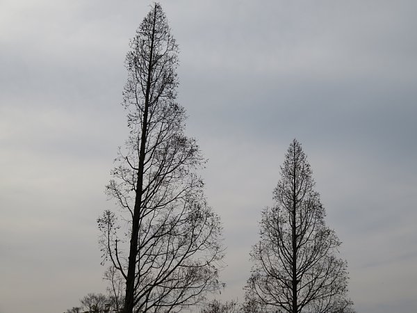 b0341140_19282430.jpg