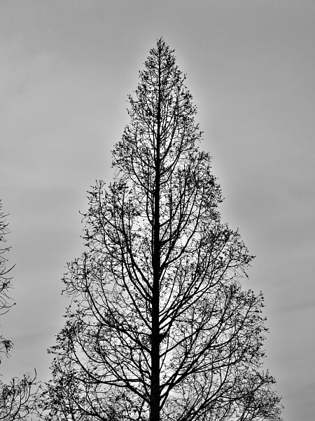 b0341140_19284423.jpg