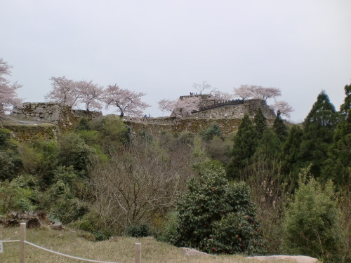 d0154954_15295830.jpg