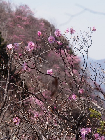 b0335256_11004658.jpg