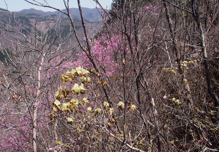 b0335256_11053109.jpg