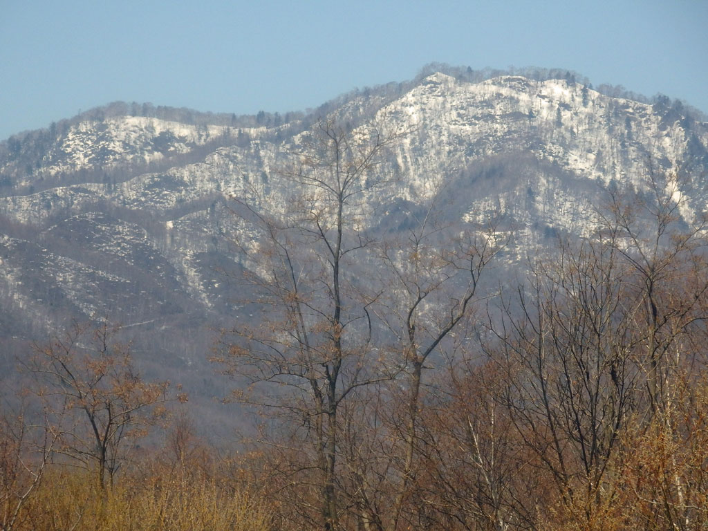 a0193457_17315436.jpg