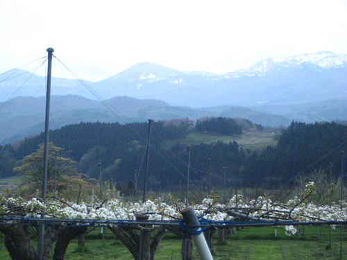 b0301459_7425441.jpg