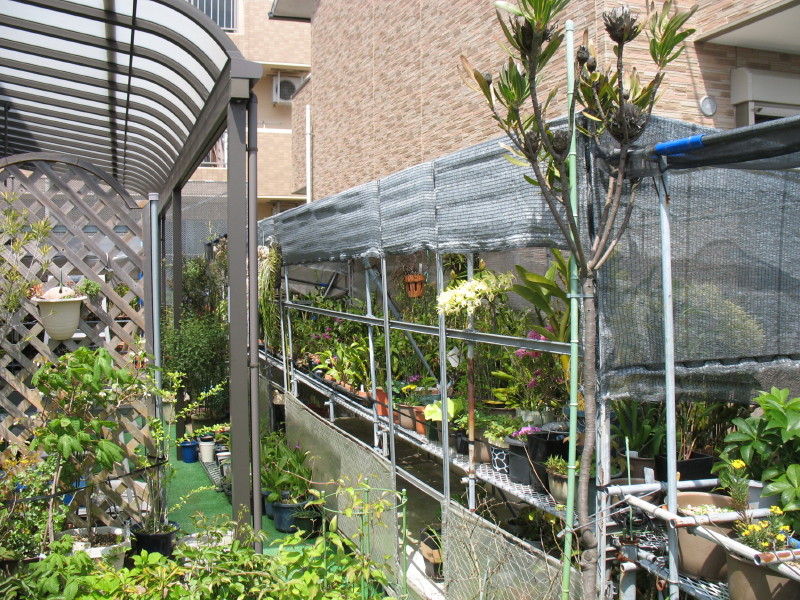 a0265160_0512746.jpg