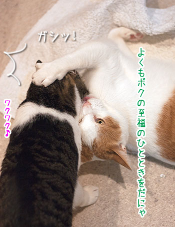 a0119470_2235162.jpg