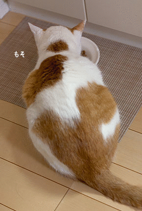 a0119470_22353010.gif