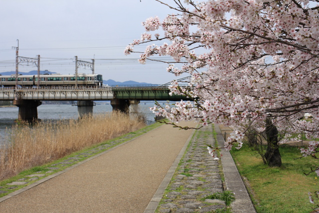 b0055171_154399.jpg
