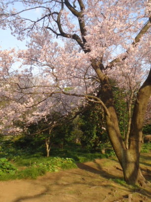 e0029472_1104865.jpg