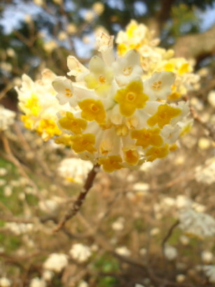 e0029472_1372610.jpg