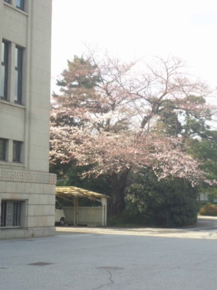 e0029472_161323.jpg