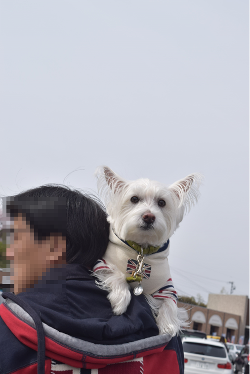 b0242873_23223335.png