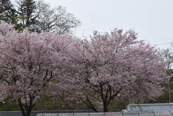 b0242873_23225912.jpg