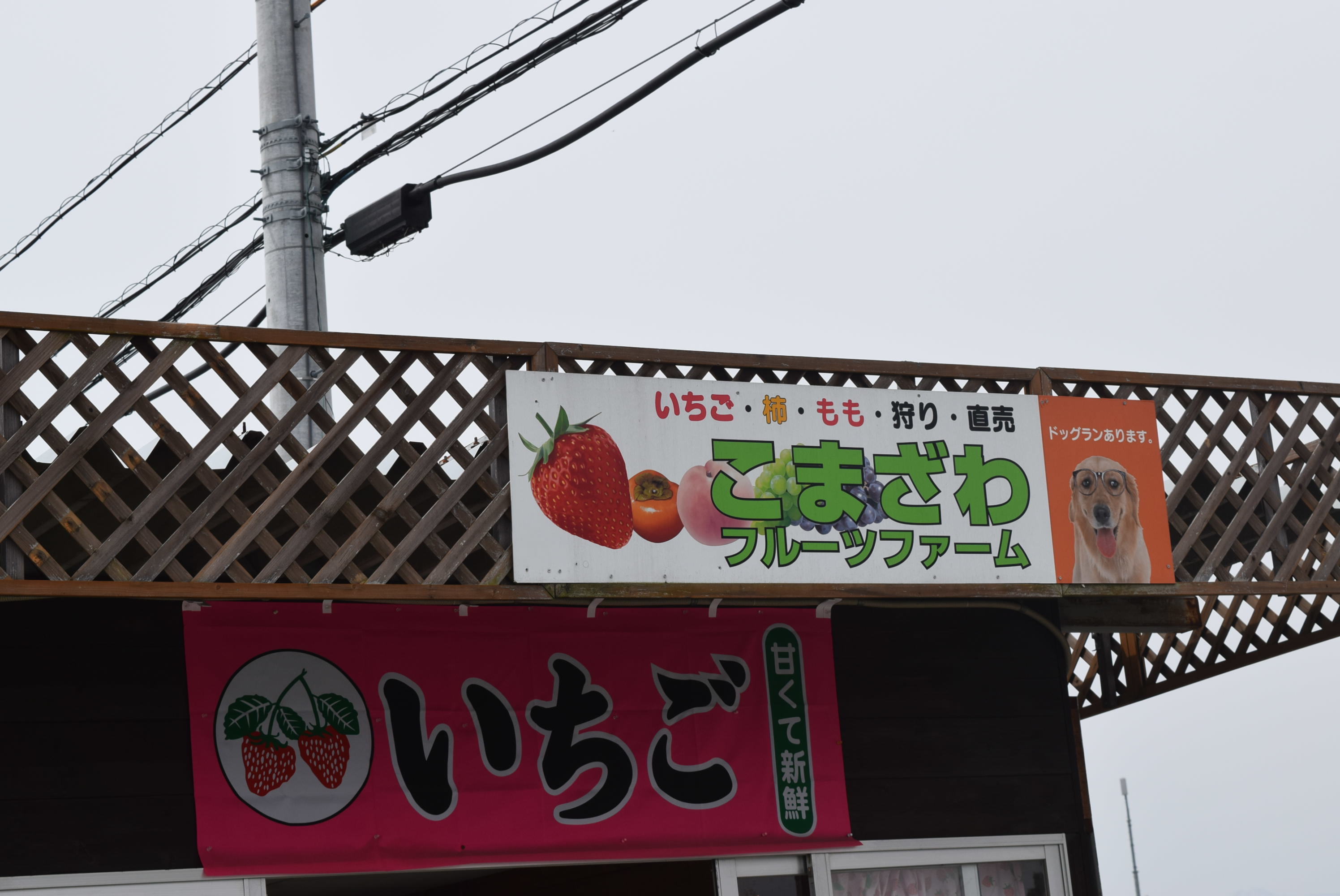 b0242873_23323414.jpg