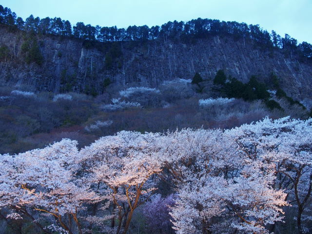 d0042474_22275599.jpg