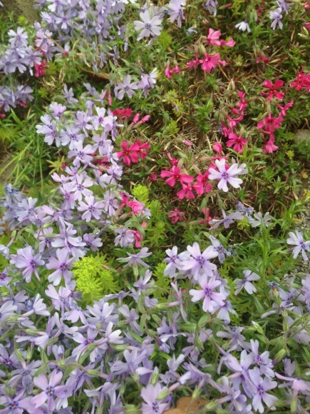d0178877_23511381.jpeg