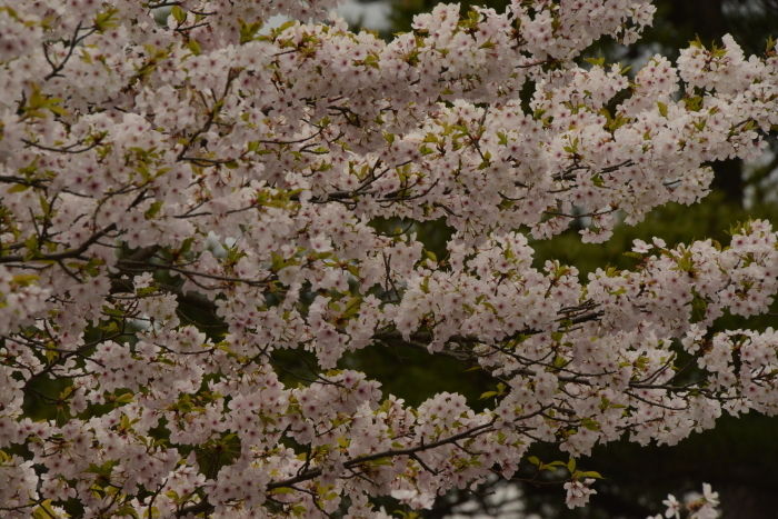 f0268294_23111889.jpg