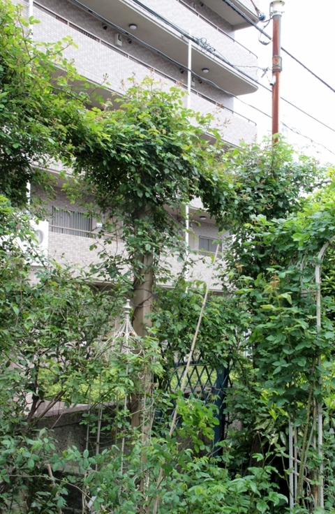 d0166303_21131299.jpg