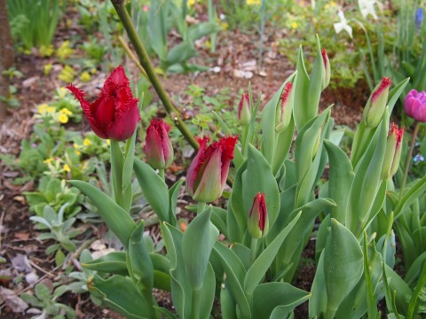 c0117007_21375227.jpg
