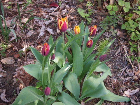 c0117007_21461375.jpg
