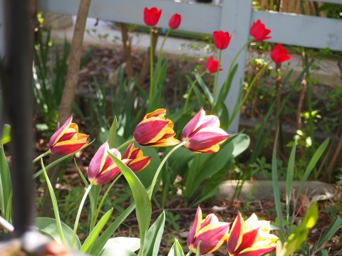 c0117007_21462485.jpg
