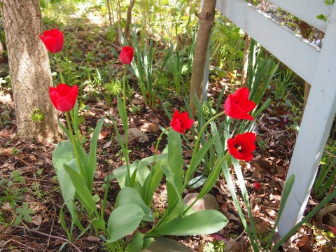 c0117007_21481527.jpg
