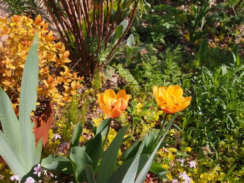 c0117007_21501060.jpg