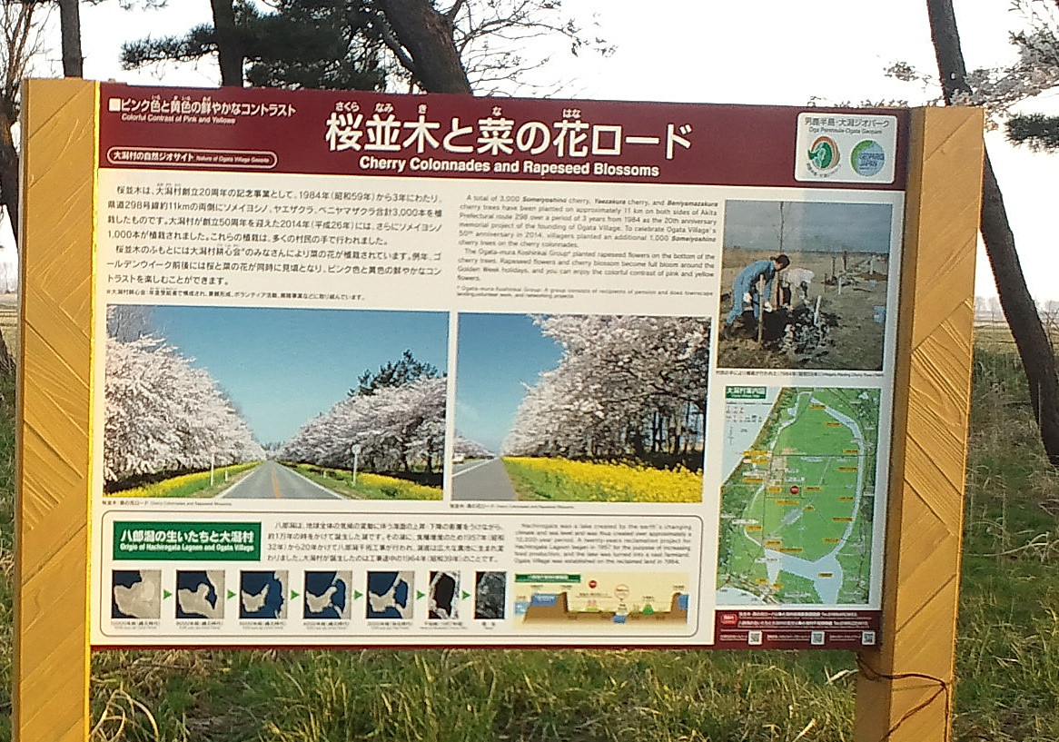 c0336907_22012401.jpg