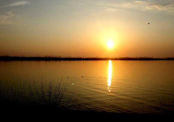 c0336907_22075862.jpg