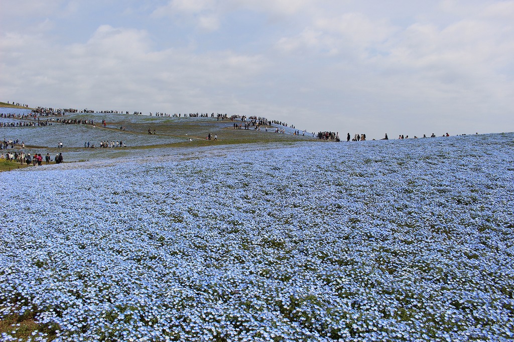 f0039907_14342145.jpg