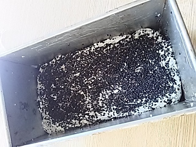 f0316507_15005481.jpg